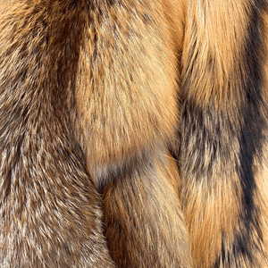 Bever-, rødrev-, mårskinn mv.