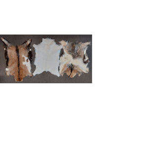 Geitskinn, 80-100 cm   tilbud