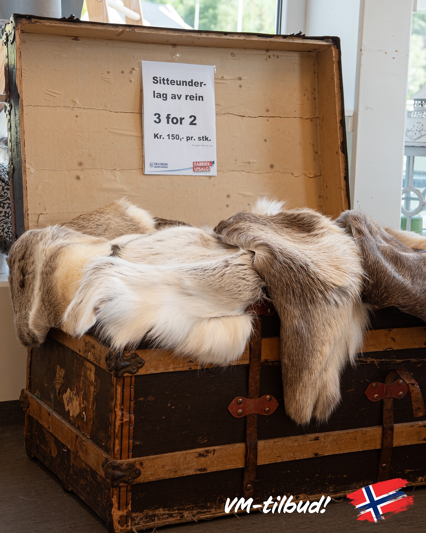 DSC_1204-Rediger.jpg