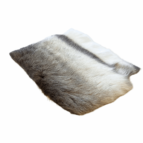 IMG_6104-kun sitteunderlag.png