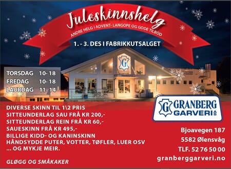 Juleannonse 2022.JPG