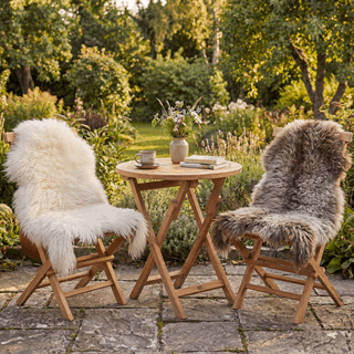 Visste du at saueskinn er temperaturregulerende?