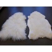 Store kvite saueskinn [utgått]