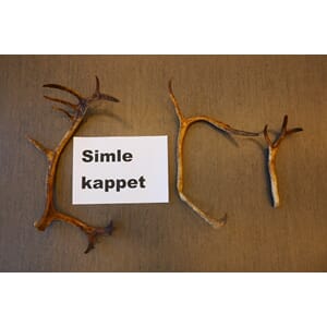 REINSHORN,SIMLE KAPPET