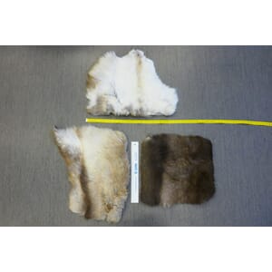 Underlag av rein, mellomstørrelse, impregnert