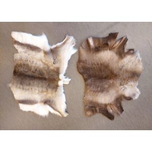 REINSKINN, 1/2 SKINN