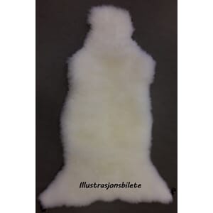 Bilskinn, kvit med festeselar