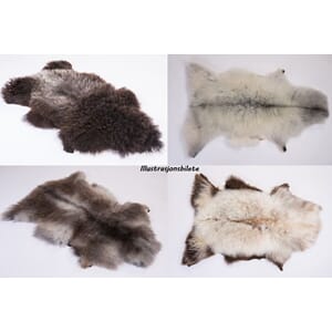 Villsauskinn,ass.fargar (stor) 2.sort